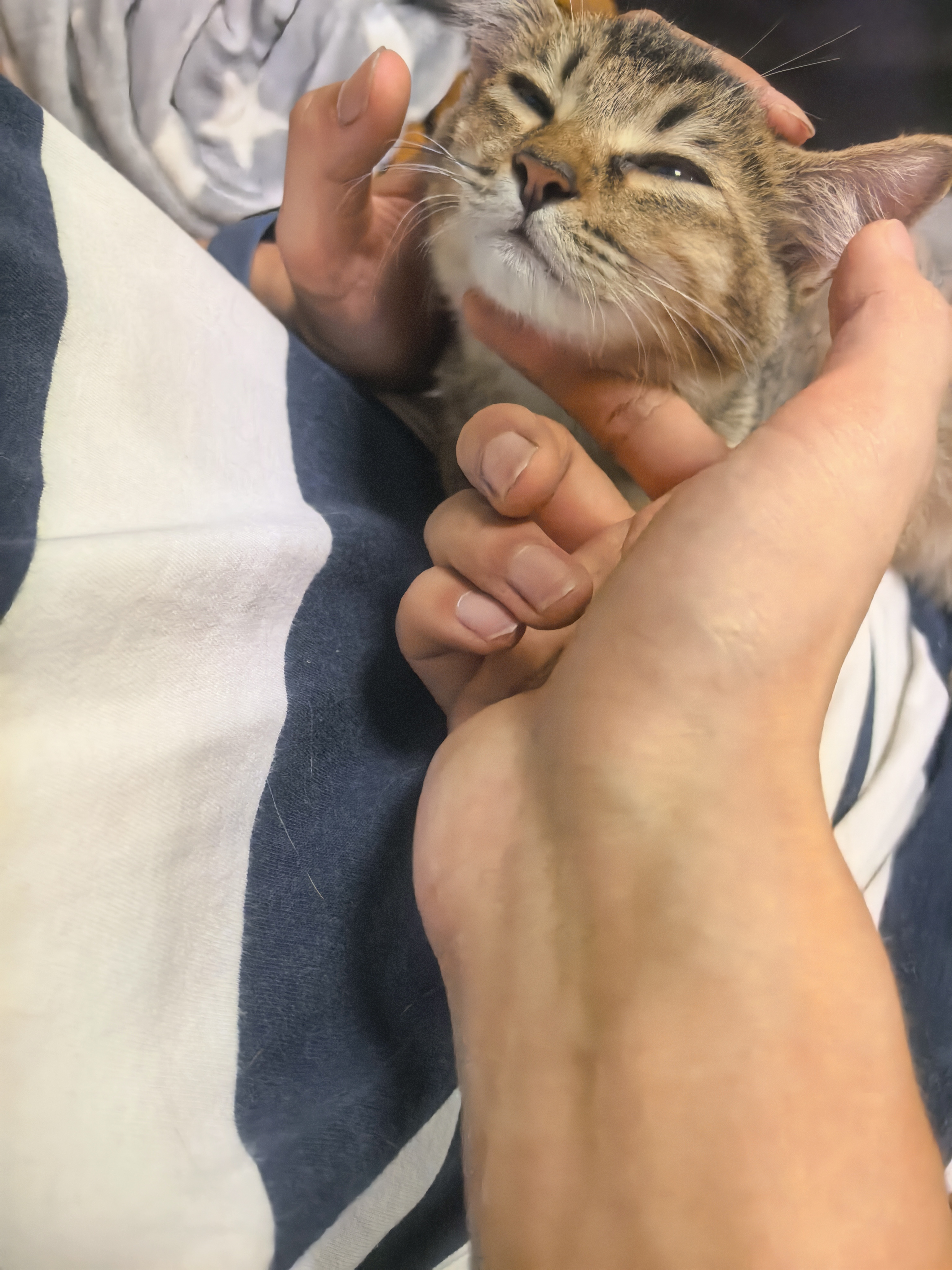 30d55d8a1bd003d837472a0ec61f6c83