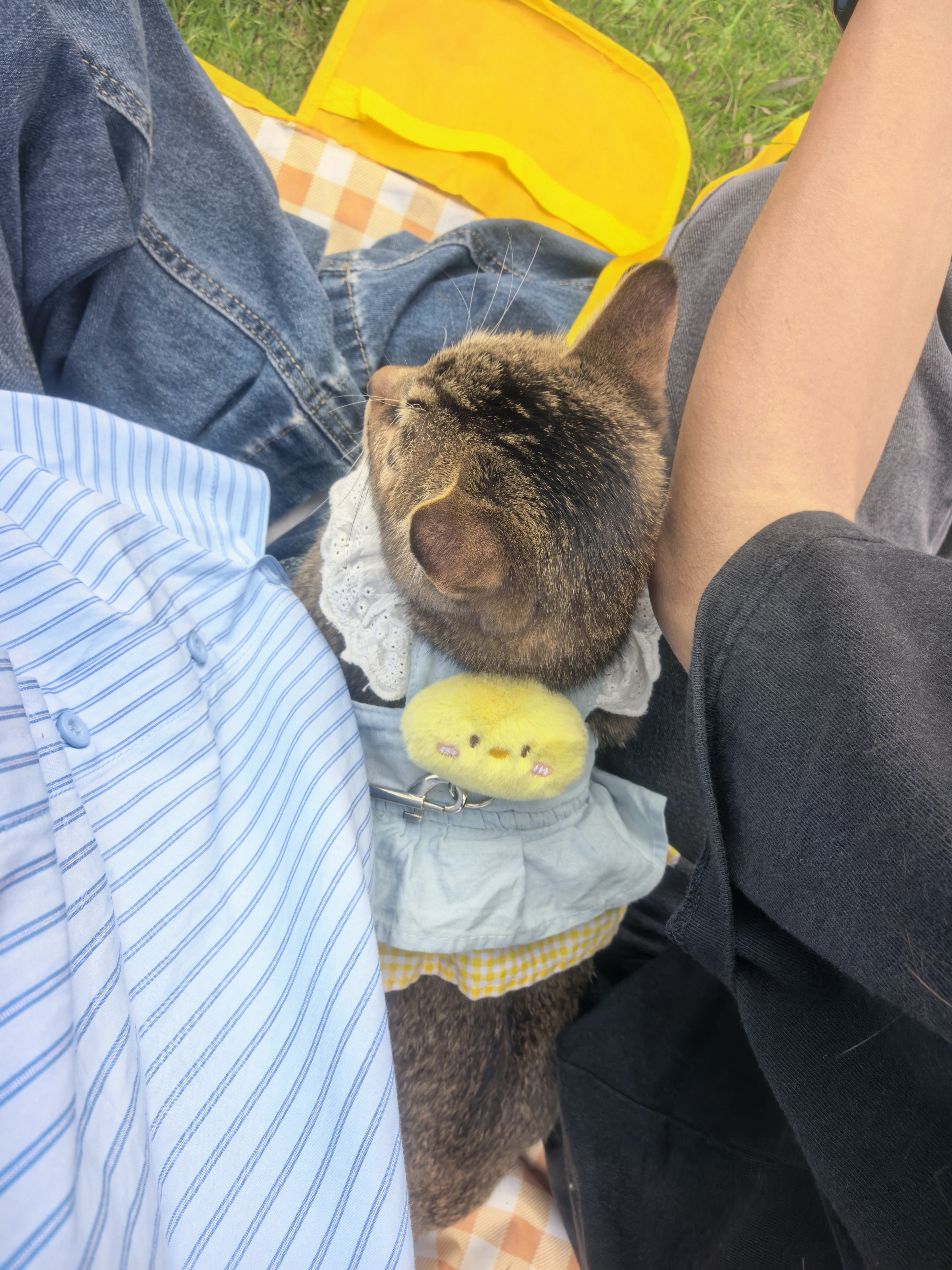 52107b465199f0a83660363827f45101