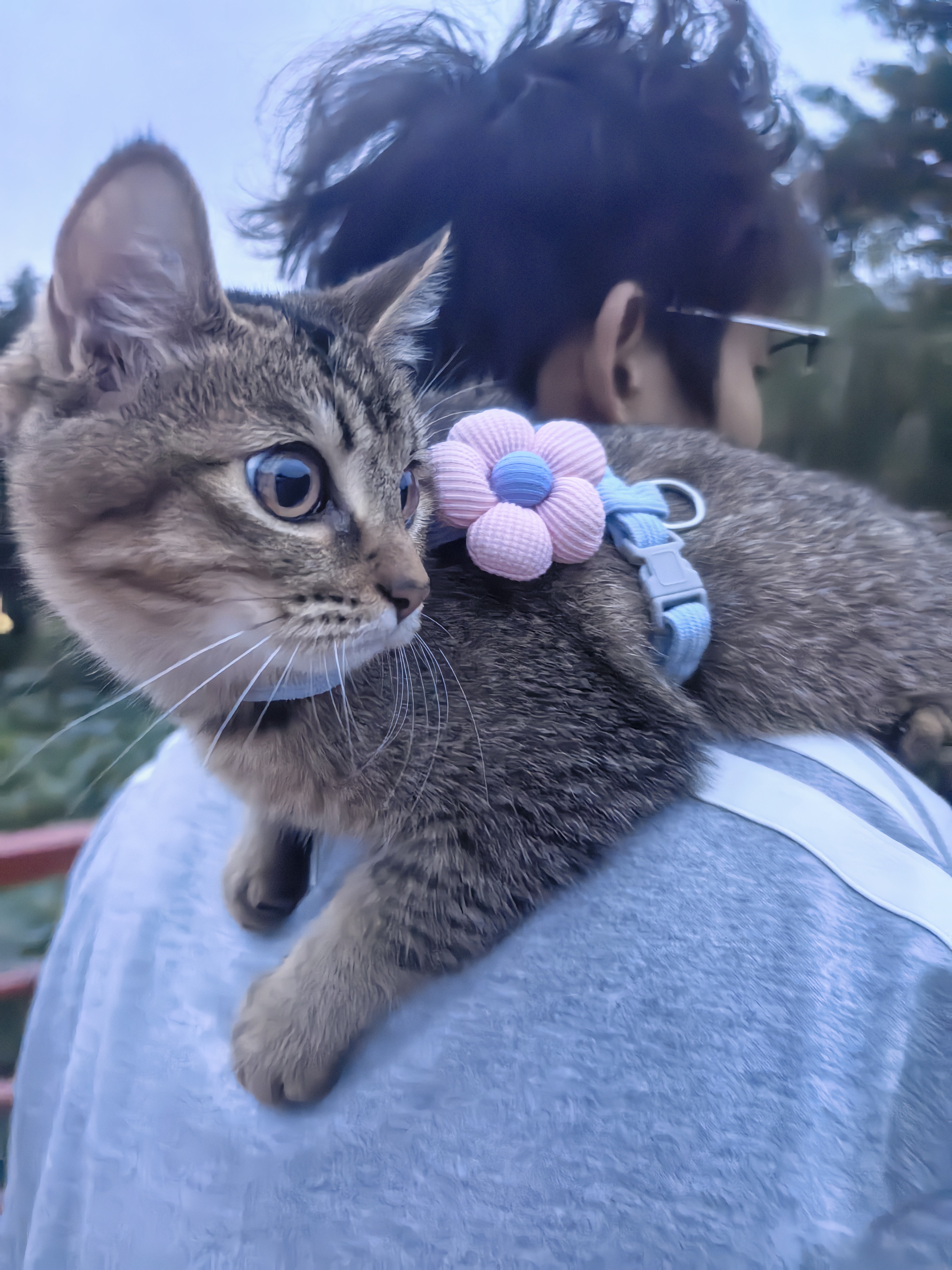 71d3c1a268d54046ec521dc62b9b4ebc