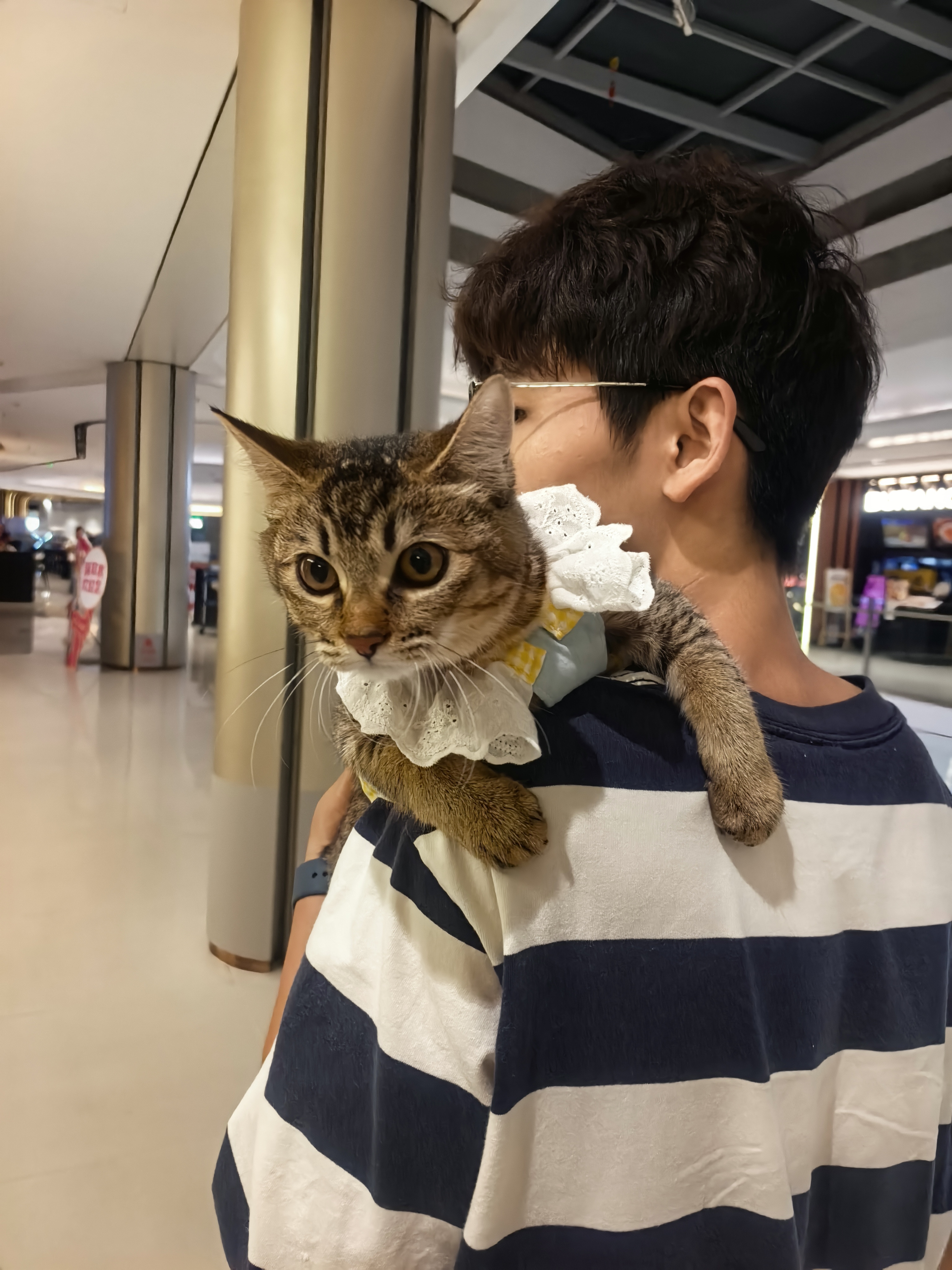 8177776df6b829be9caa41a477ceecdf