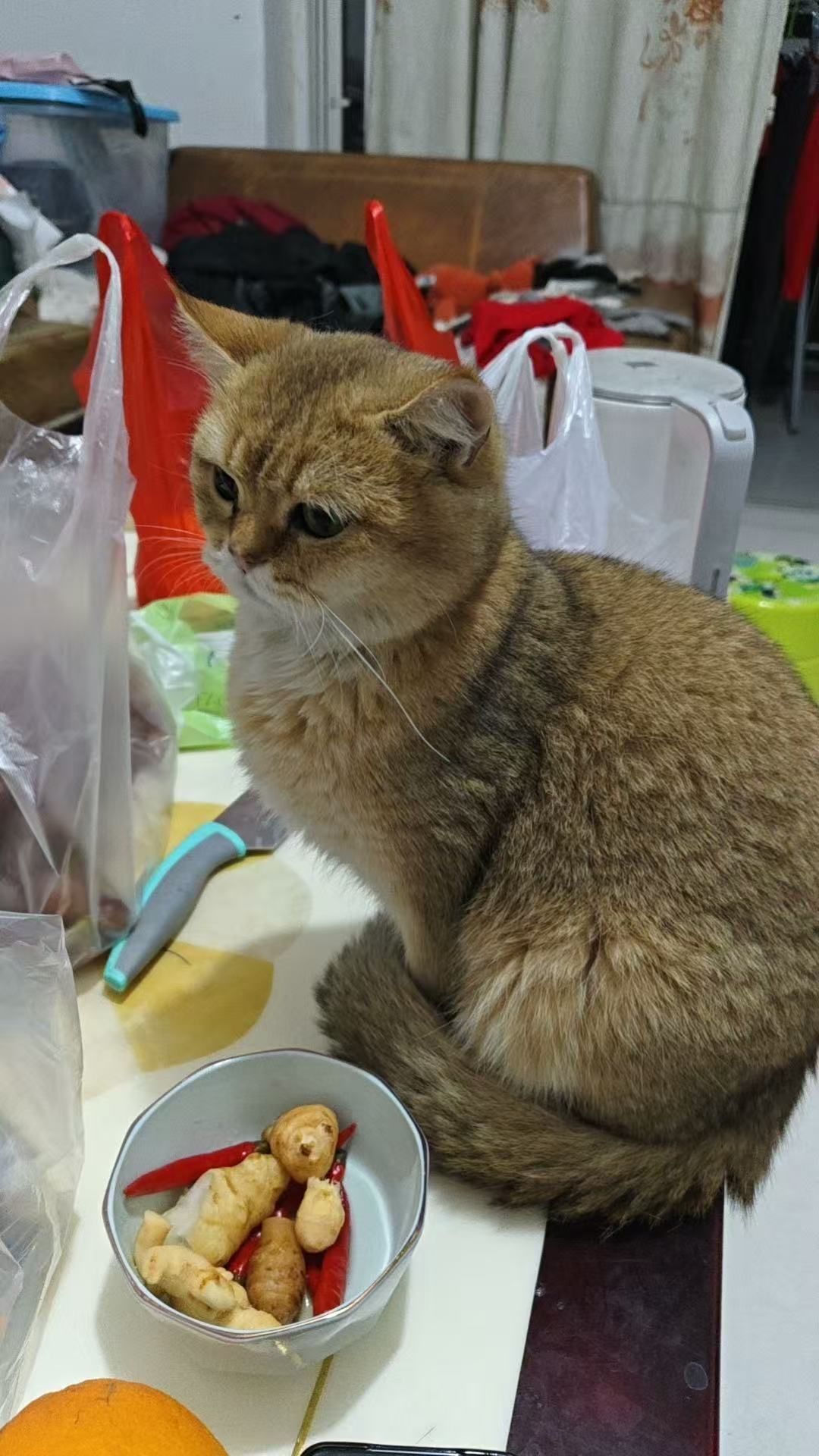 8347046ccda41d0bd4119c146cad769c