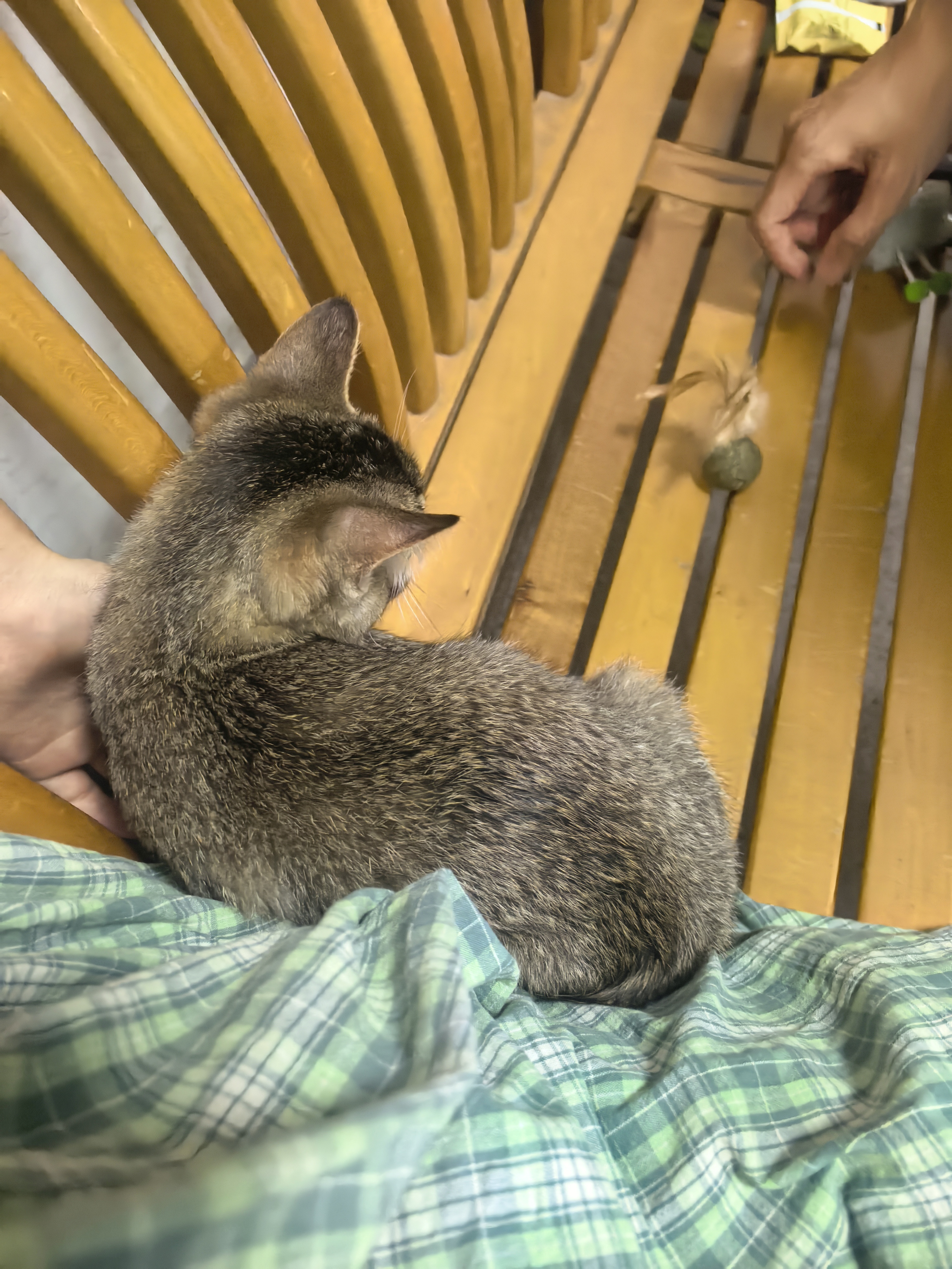 d1e9d1043dd0049fb3b3334d5f971ed7