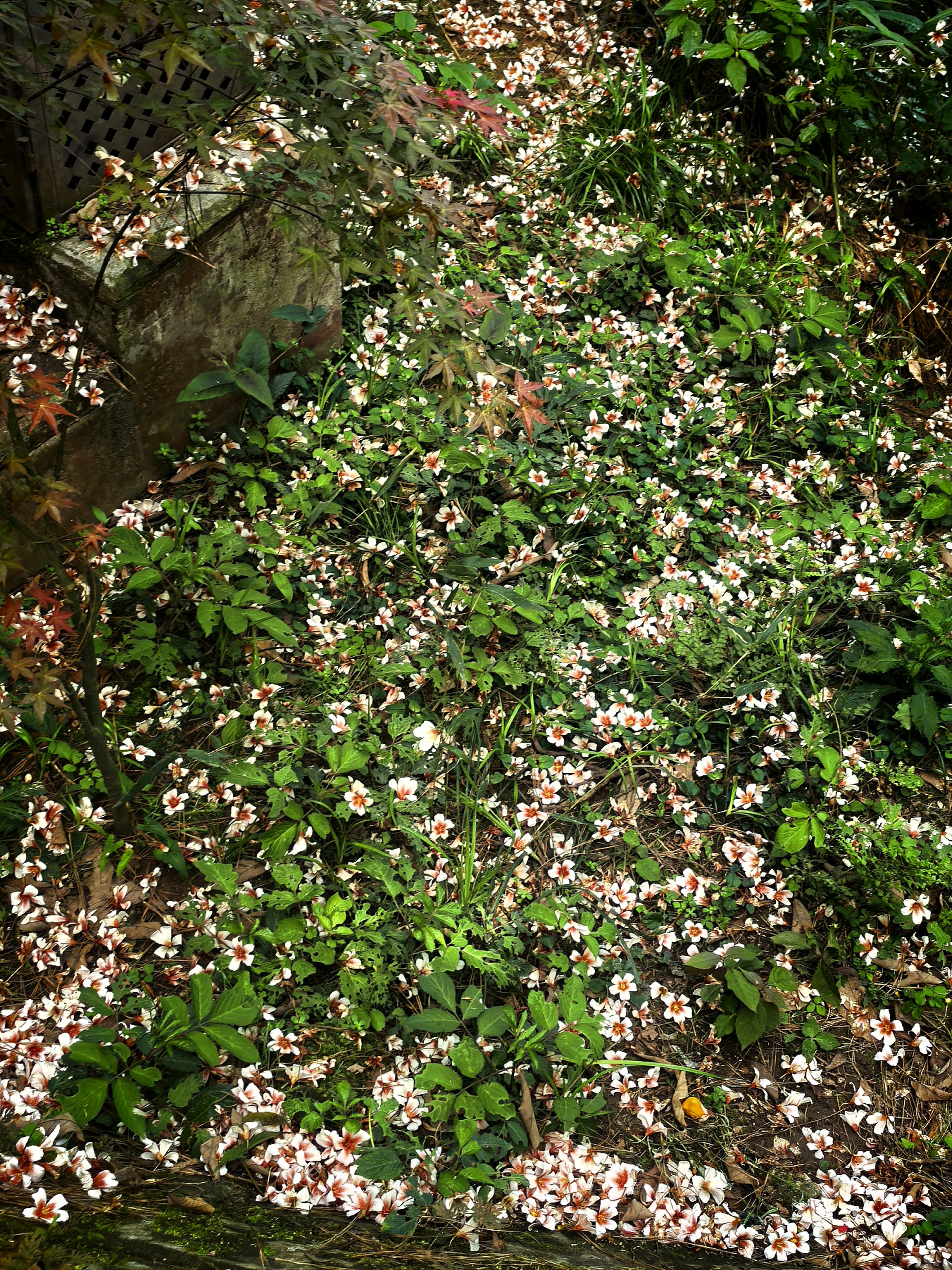 1a6dbc6127858a1e82d44c64ac7a38e2