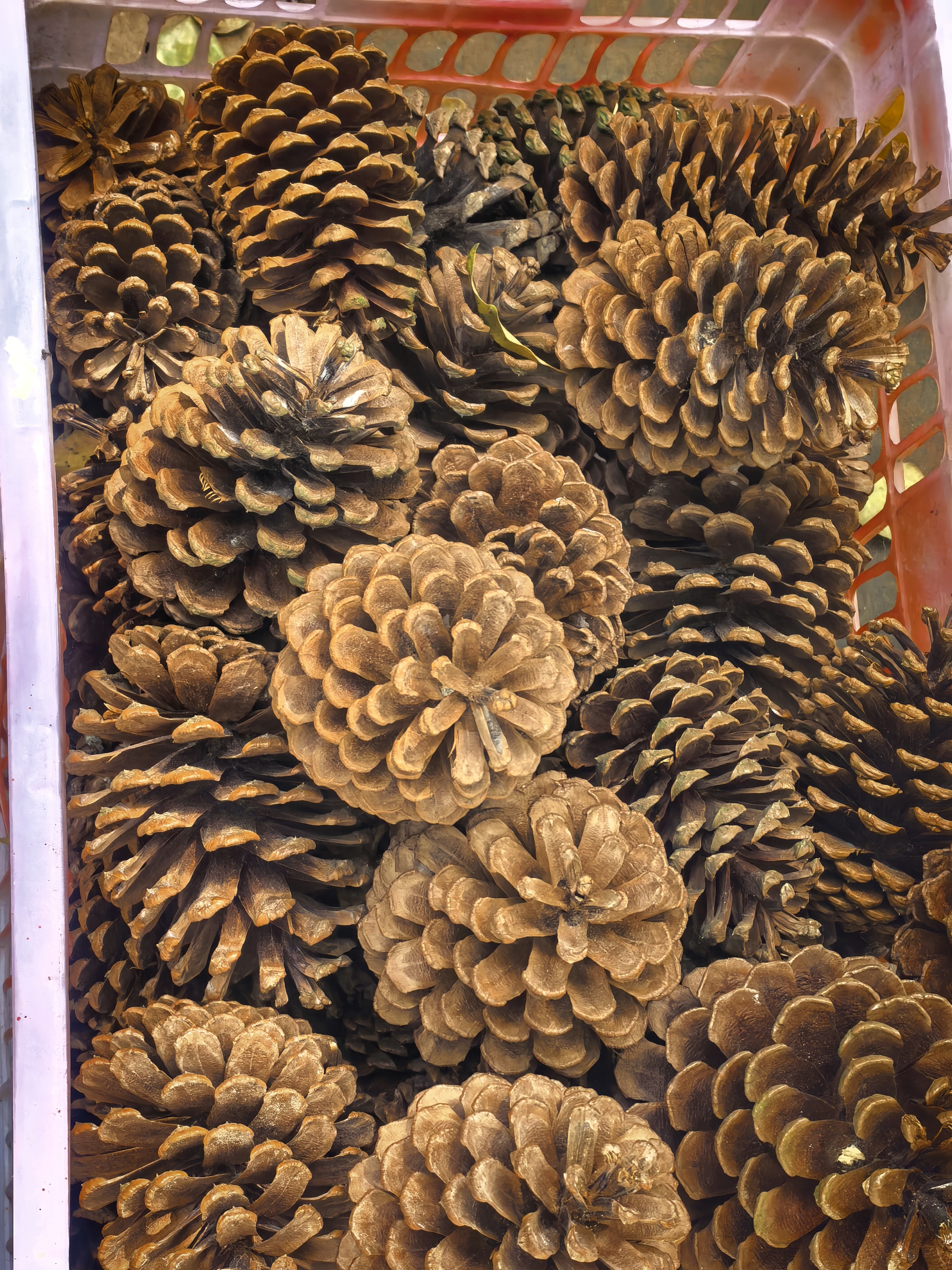 80e111cc0870fccfe2f9410f587fcf33