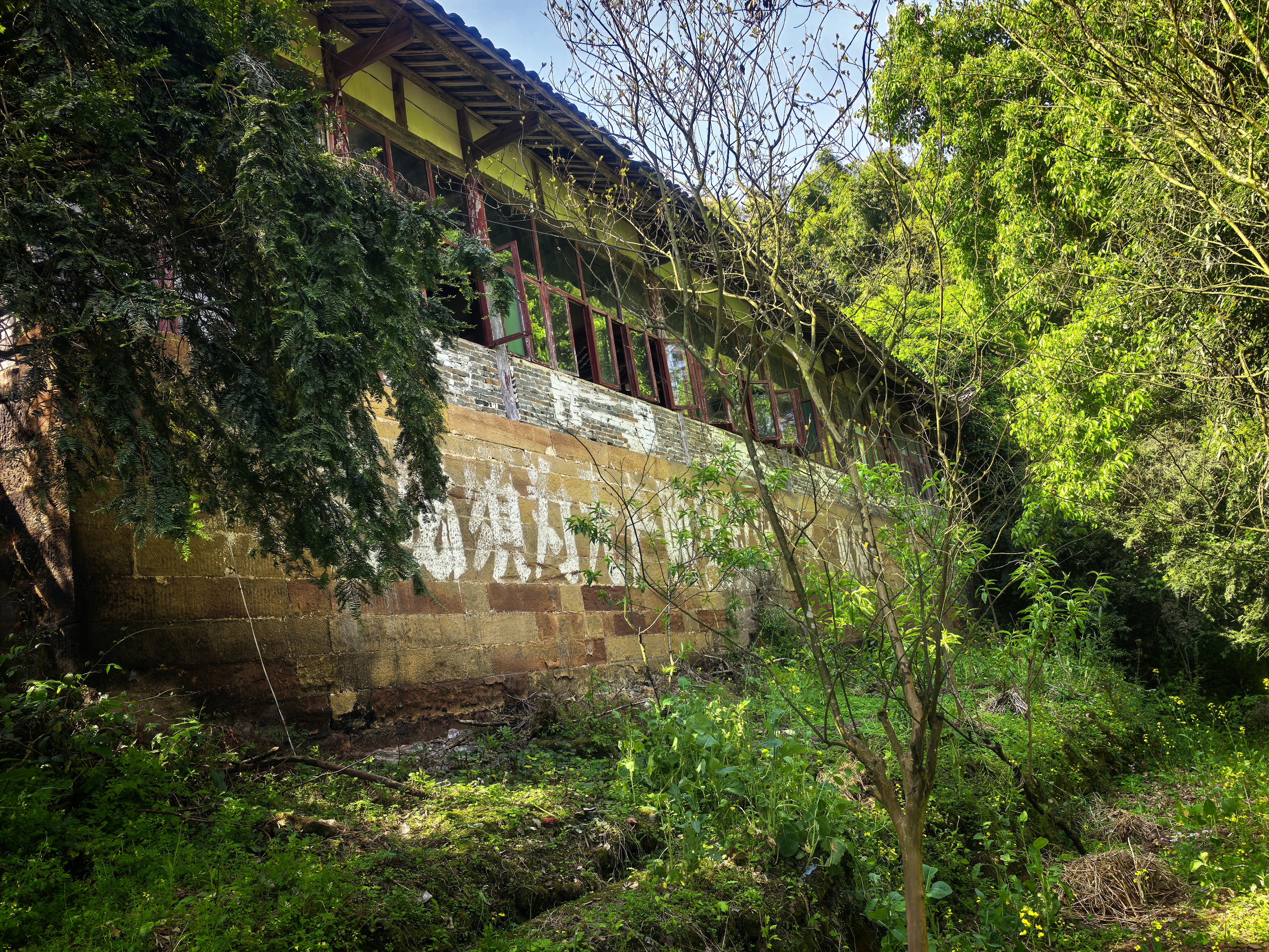 8897354f7c7d05739d53afdcc01ee788