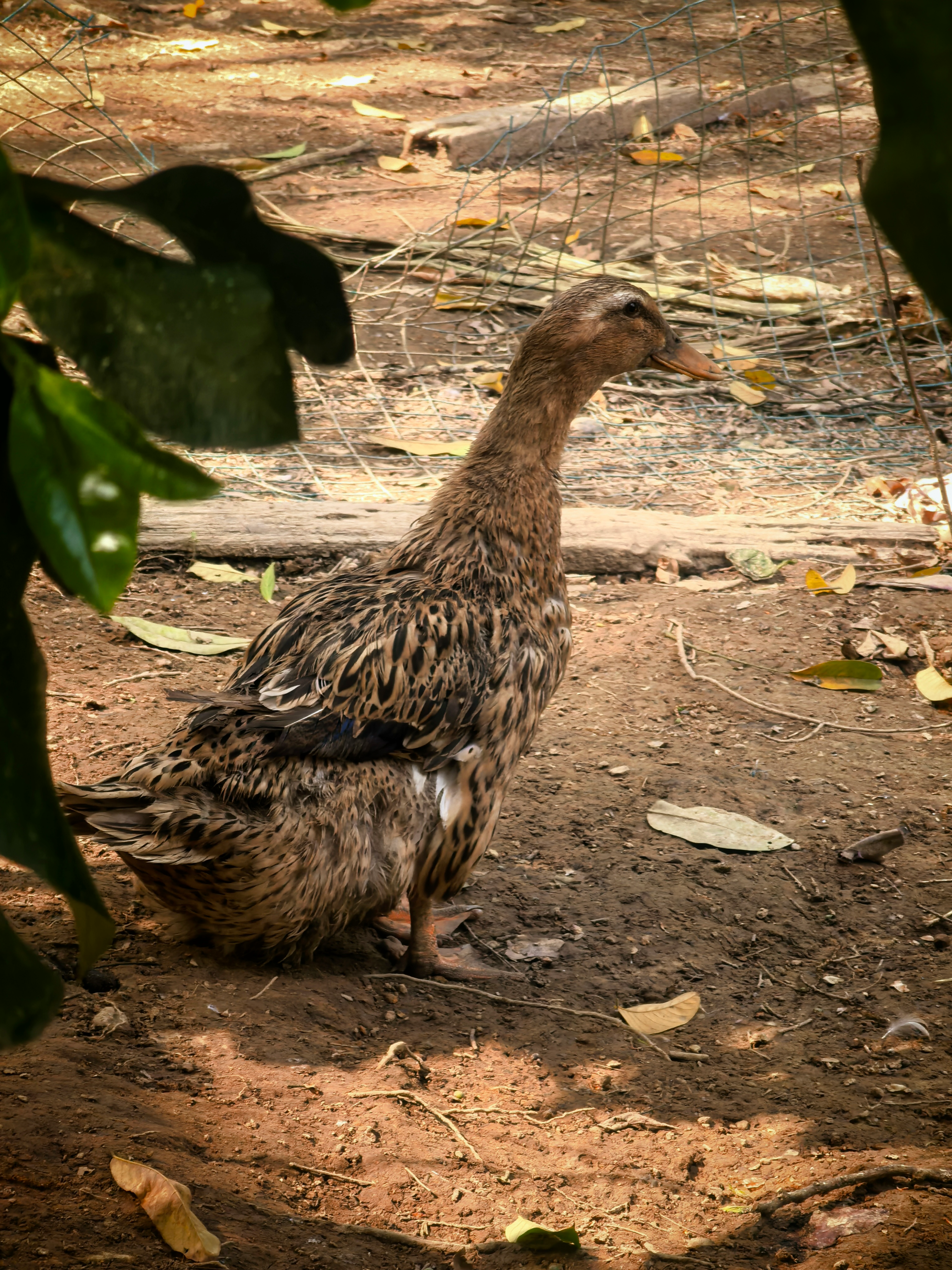 image-20260406125825864