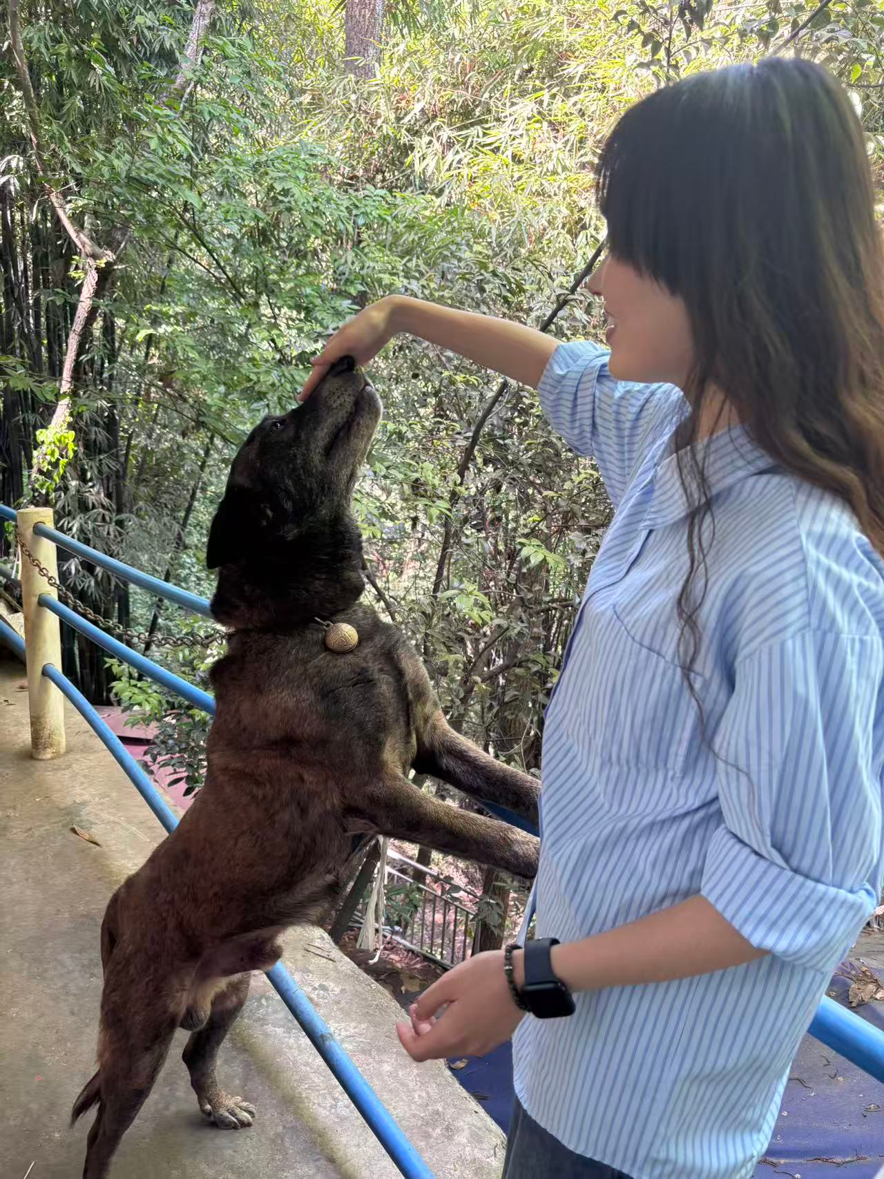 image-20260406125859131