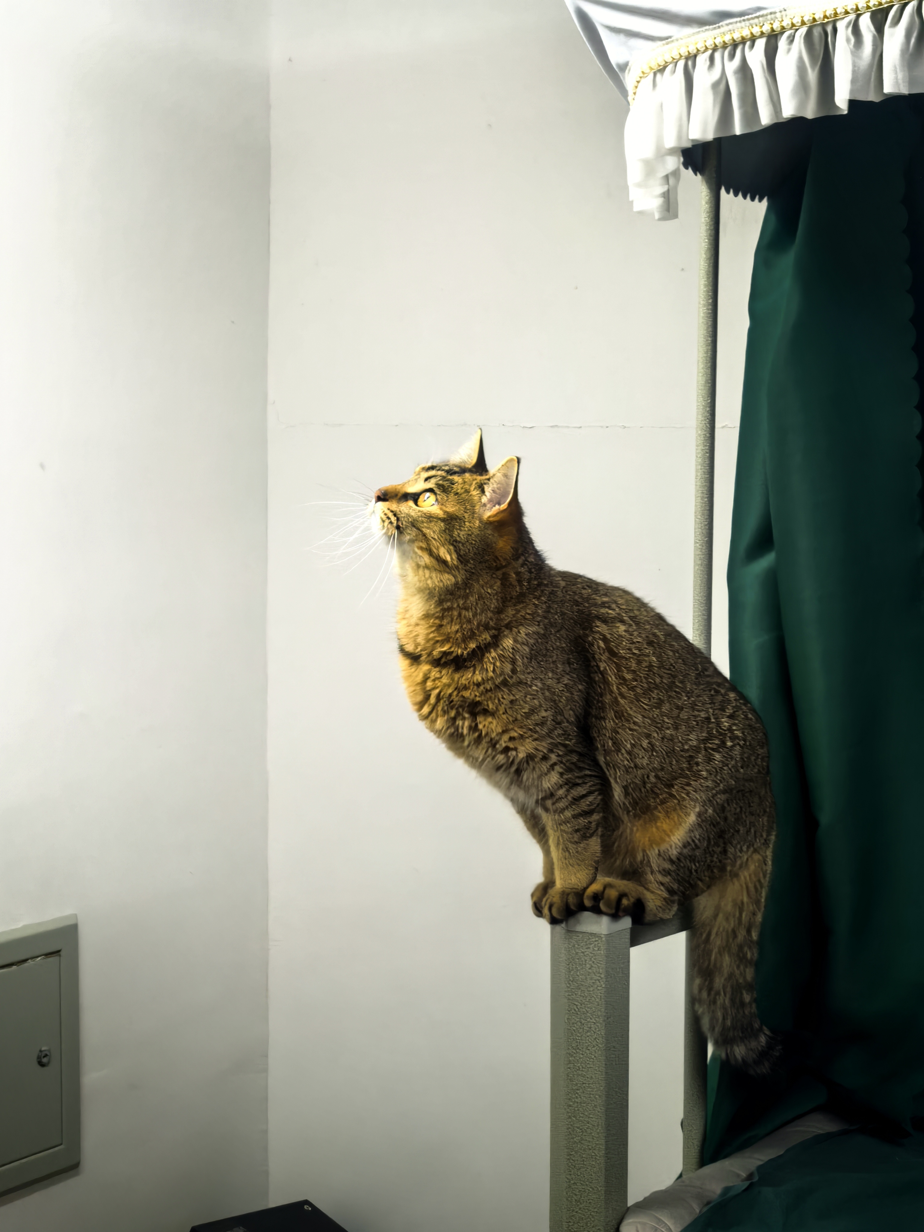 1e836b2a932b3c2565b3efdd8542ae99