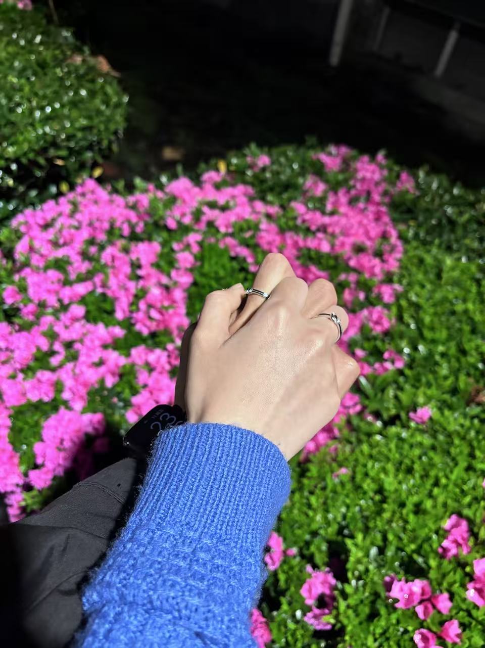 5bd394a313a22a60ef2990bbebad7ba0