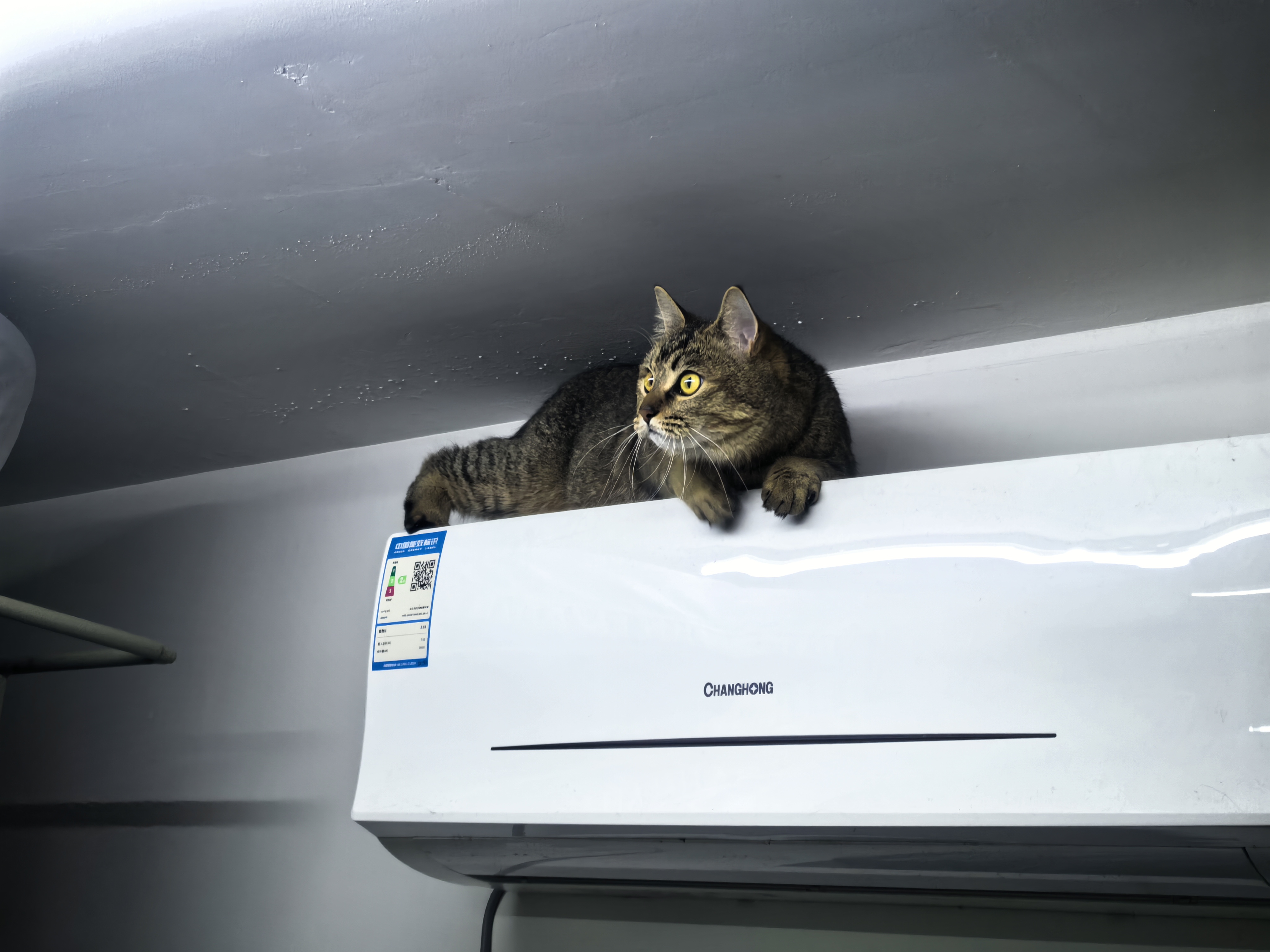 aeec35272dc49c21c4570b4ba33f07f7