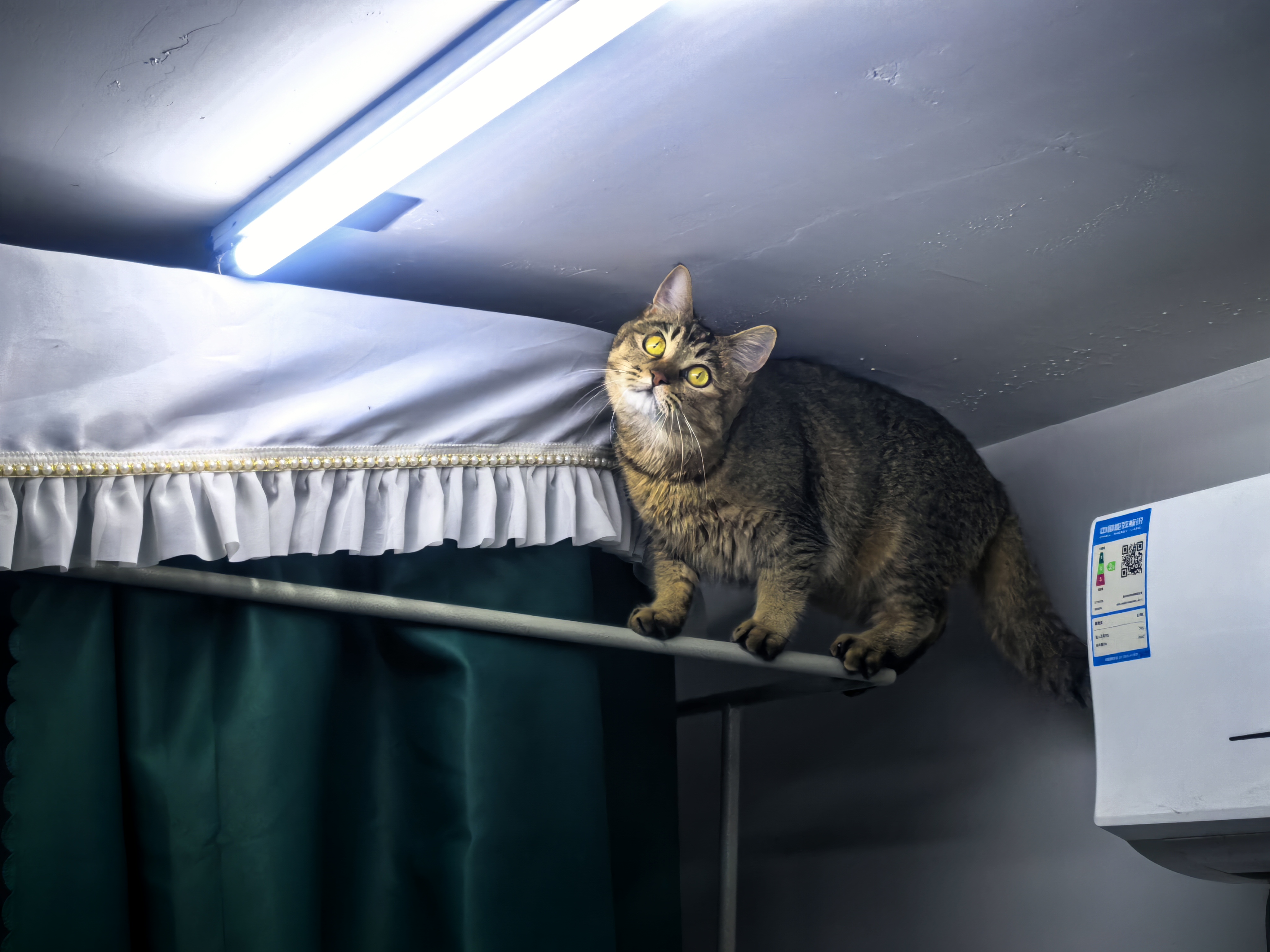 c4066550f5b38718616532cb8d3ffe31